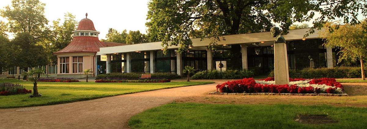 Apartma V Srdci Podebrad Poděbrady Exterior foto