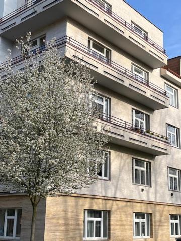Apartma V Srdci Podebrad Poděbrady Exterior foto
